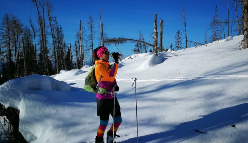 Hotel CROCUS **** Vysoké Tatry